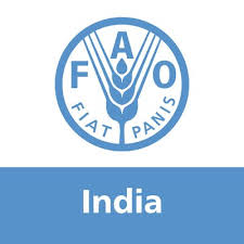 FAO INDIA